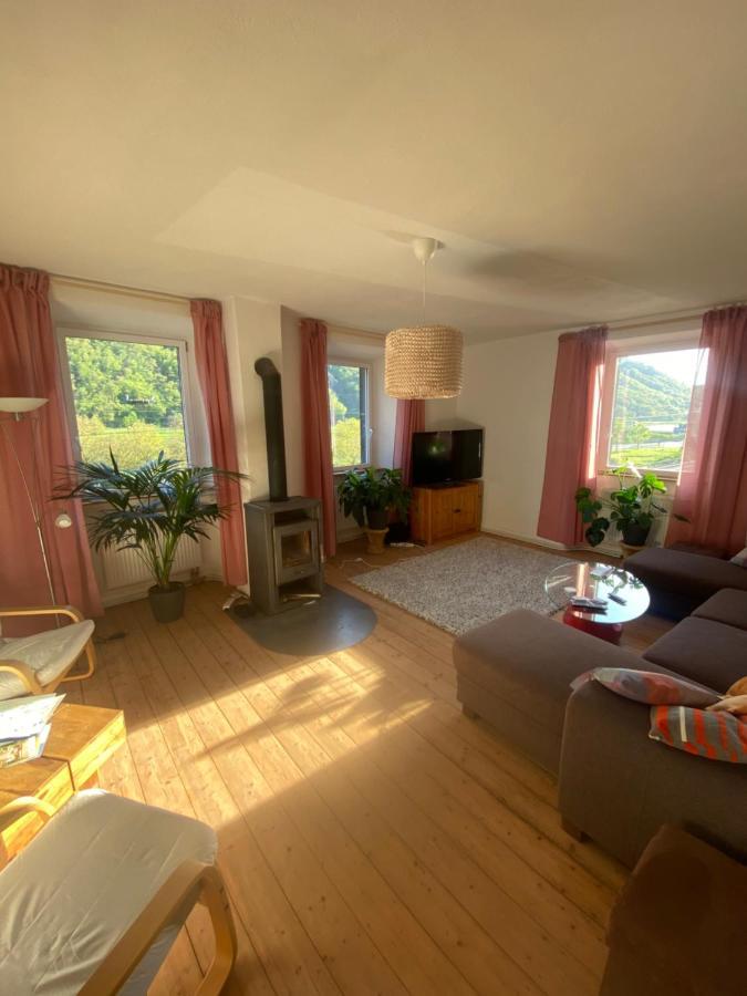 Helles, Gemuetliches Haus Mit Moselblick Villa Müden Exteriör bild